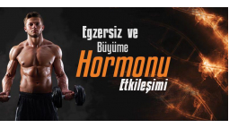 Egzersiz ve Büyüme Hormonu Etkileşimi