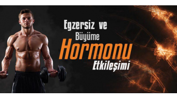 Egzersiz ve Büyüme Hormonu Etkileşimi