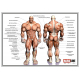 Poster + 5,00 TL