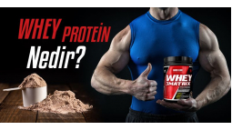 Whey Proteini Nedir?
