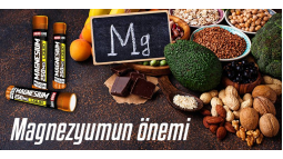 Magnezyumun Önemi