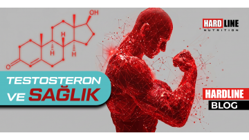 Testosteron ve Sağlık