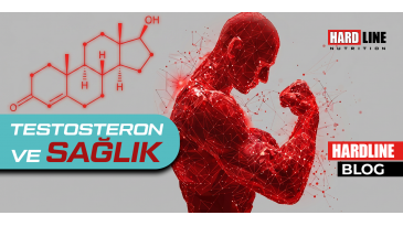 Testosteron ve Sağlık