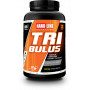 Tribulus Terrestris  + 317,76 TL 