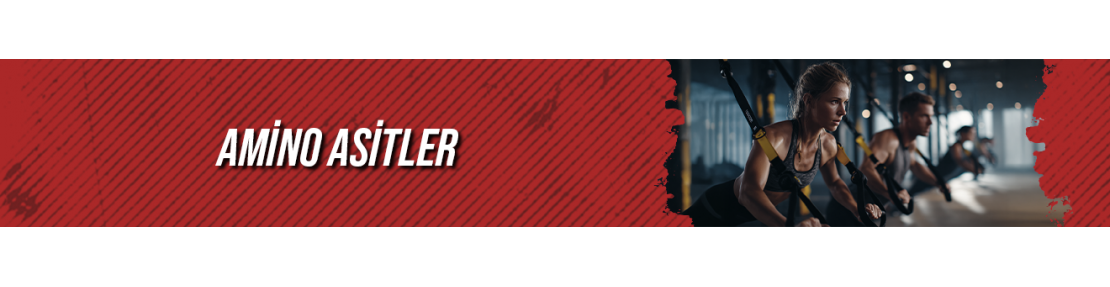 AMİNO ASİTLER