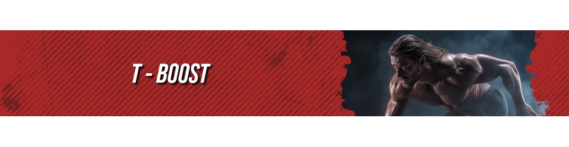 T-BOOST