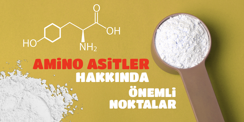 Amino Asitler Hakkında Önemli Noktalar Amino Asitler Hakkında Önemli Noktalar