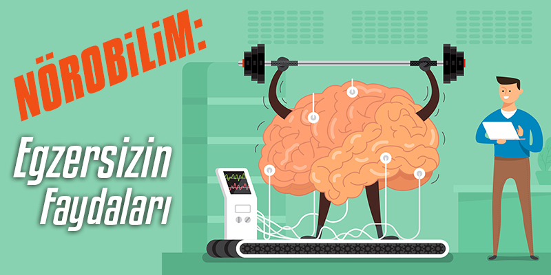 Nörobilim Egzersizin Faydaları Nörobilim Egzersizin Faydaları