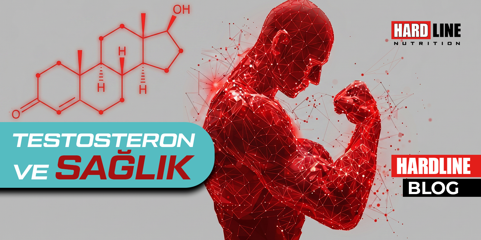 Testosteron ve Sağlık